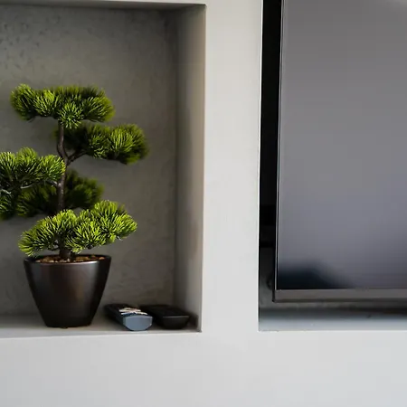 Waldberg Nová Lesná